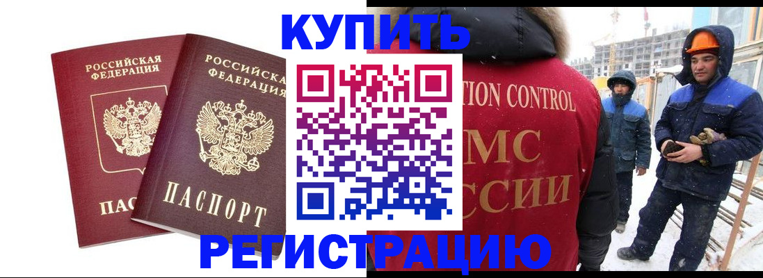 прописка 2025 в Светлогорске